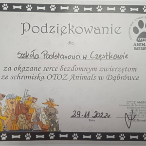 pokaż obrazek - 