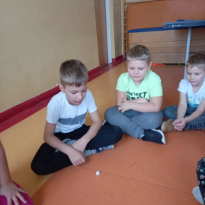 pokaż obrazek - 