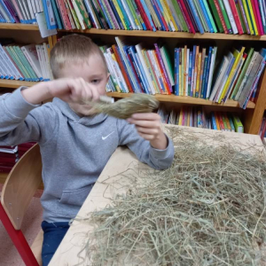 pokaż obrazek - Warsztaty