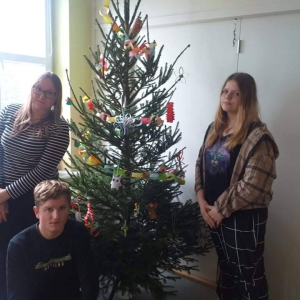 pokaż obrazek - Choinka