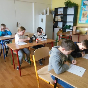 pokaż obrazek - 