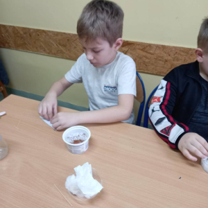 pokaż obrazek - Uczniowie sieją rzeżuchę