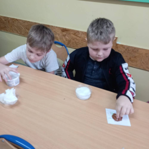 pokaż obrazek - Uczniowie sieją rzeżuchę