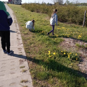pokaż obrazek - Lekcja przyrody w terenie