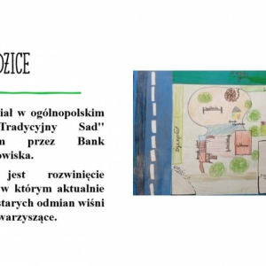 pokaż obrazek - 