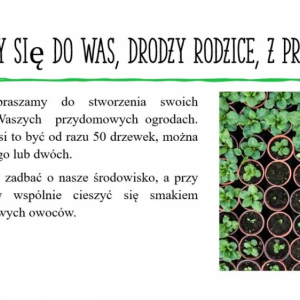 pokaż obrazek - 