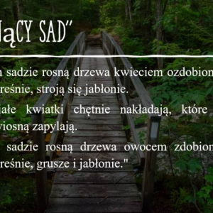 pokaż obrazek - 