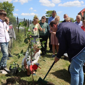 pokaż obrazek - Uroczyste sadzenie drzewek