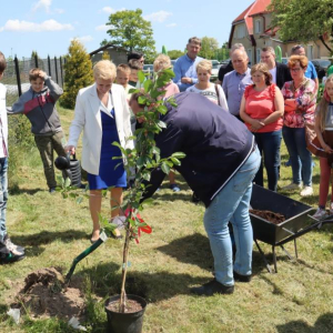 pokaż obrazek - Uroczyste sadzenie drzewek