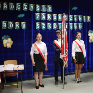 pokaż obrazek - 
