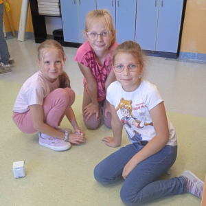 pokaż obrazek -  Programujemy z GeniBotami 