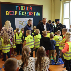 pokaż obrazek - 