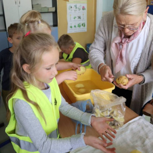 pokaż obrazek - Święto Ziemniaka