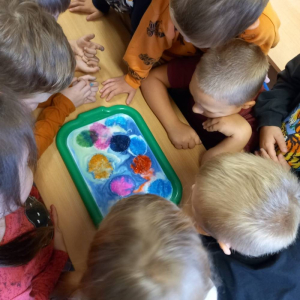 pokaż obrazek - Mleczna tęcza – eksperyment uczniów klasy 1 