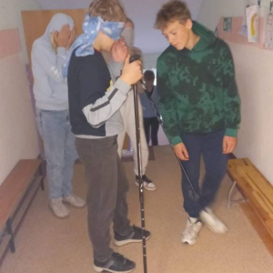 pokaż obrazek - 