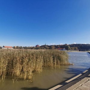 pokaż obrazek - Wycieczka