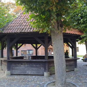 pokaż obrazek - Wycieczka