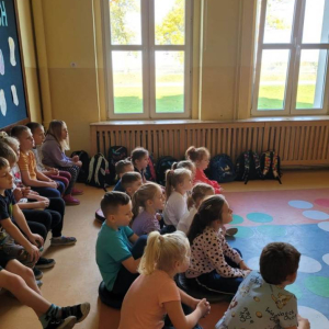 pokaż obrazek - Historia szpaka Mateusza - teatrzyk kamishibai 