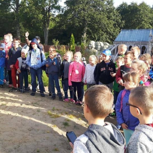 pokaż obrazek - 