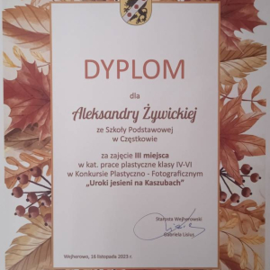 pokaż obrazek - Dyplom
