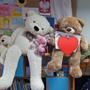 pokaż obrazek -  25 listopada – Światowy Dzień Pluszowego Misia