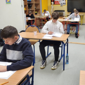 pokaż obrazek - Ogólnopolski Próbny Egzamin Ósmoklasisty z Operonem