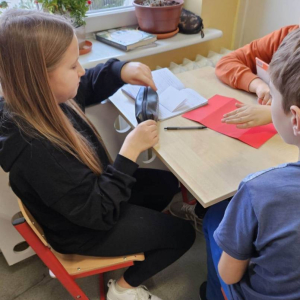 pokaż obrazek - Lapbook „W pustyni i w puszczy”