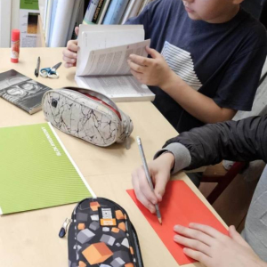pokaż obrazek - Lapbook „W pustyni i w puszczy”